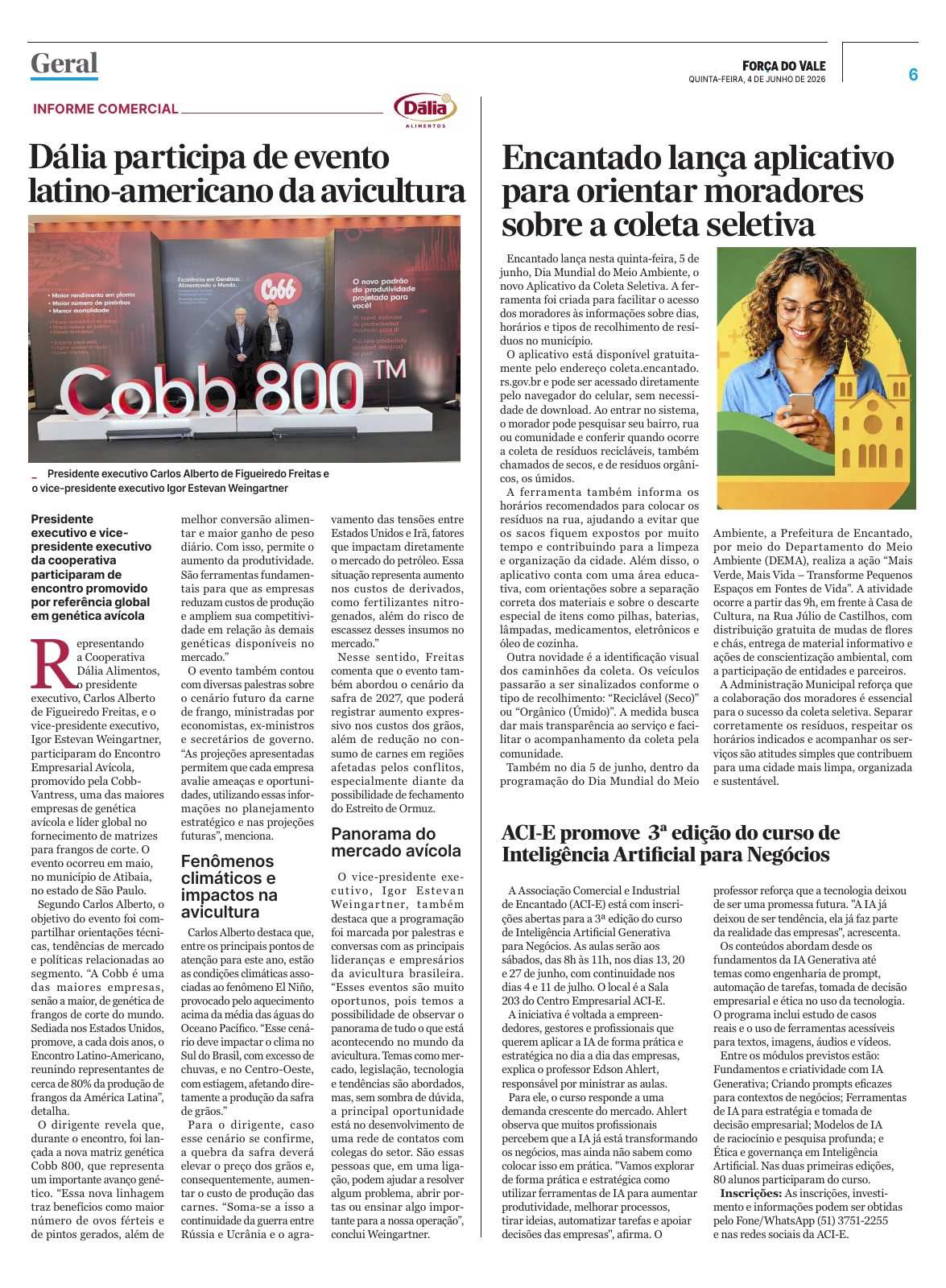 Página 6