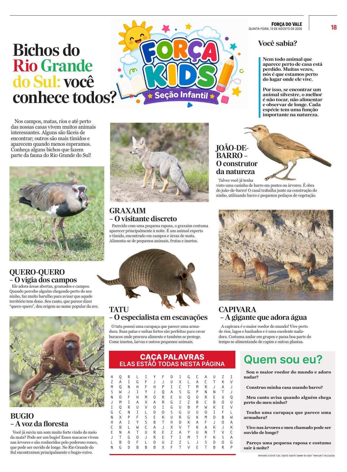 Página 18