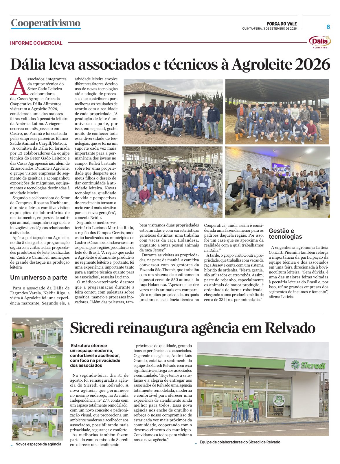 Página 6